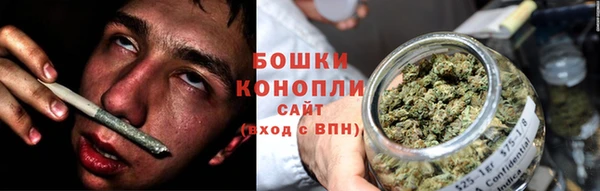 стаф Аркадак