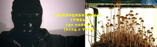 прущий лед Армянск