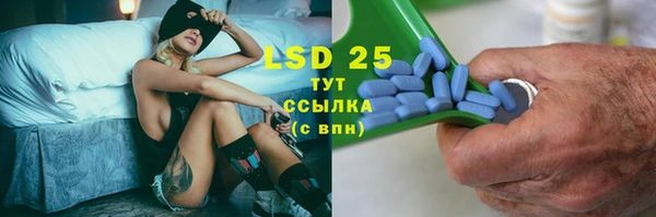 стаф Аркадак
