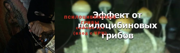 прущие крисы Арсеньев