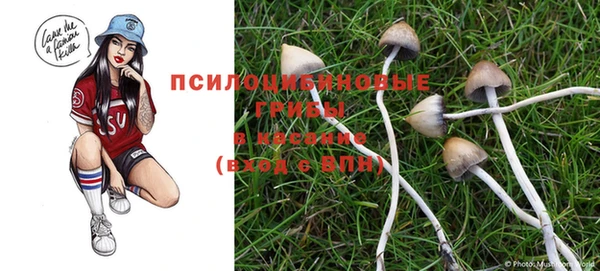 прущие крисы Арсеньев