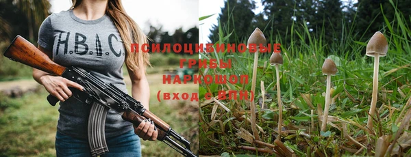 прущий лед Армянск
