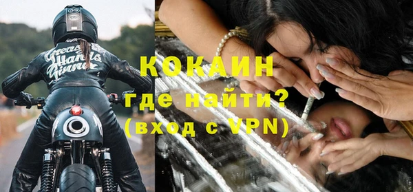 стаф Аркадак