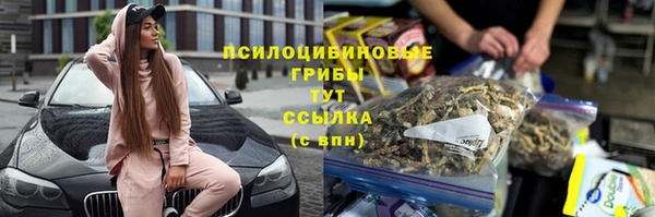 стаф Аркадак