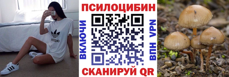 купить наркотик  Тимашёвск  hydra как войти  Галлюциногенные грибы MAGIC MUSHROOMS 