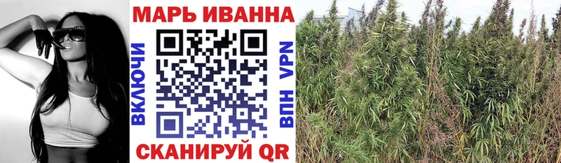 Канабис семена  наркота  Тимашёвск 